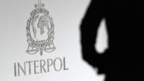 More than 100 arrests in West African internet scam investigation, says Interpol