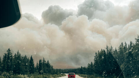 Canada wildfire smoke smashes emissions record, says EU climate monitor