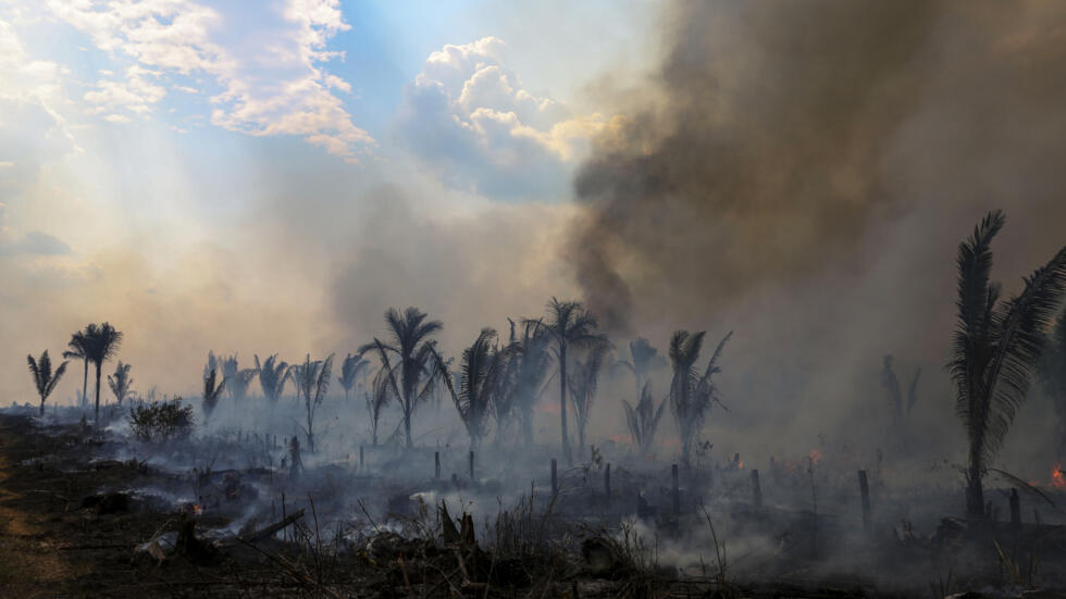 Deforestation in the Brazilian Amazon decreased 66 percent in July 2023 compared to the same period last year, reaching the lowest figure for this month in five years, according to data released in by Brazil's government