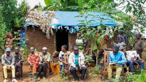 ‘Dependent on the forest’: The fight for indigenous peoples’ rights in the Congo Basin