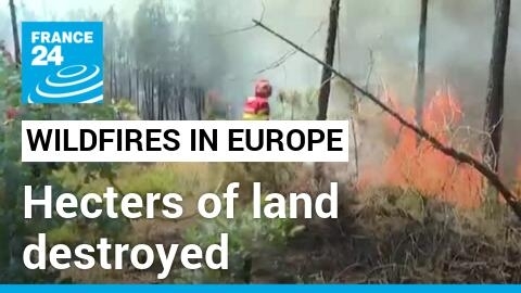 Wildifires in Europe: Hecters of land destroyed in Portugal, Spain