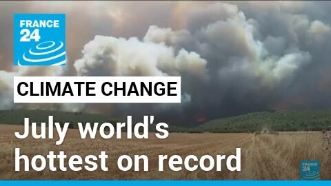 Climate change: July was world's hottest on record, EU scientists say