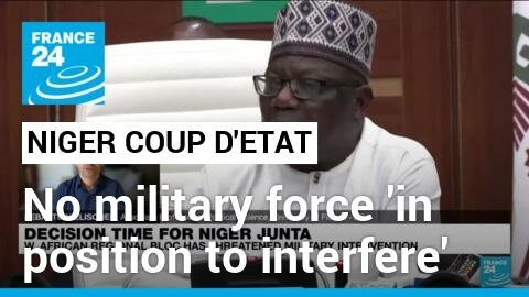 No int'l military force, ECOWAS included, 'would be in a position to interfere immediately' in Niger