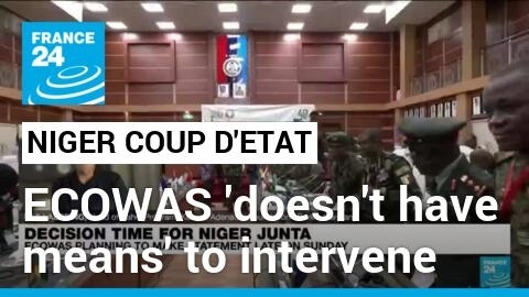 ECOWAS 'doesn't have the means' nor a NATO-style 'rapid force' for a military intervention in Niger